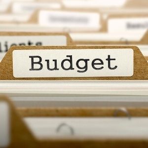 Budget Concept. Word on Folder Register of Card Index. Selective Focus.-353458-edited.jpeg