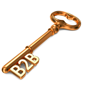 b2b-customer-assessments